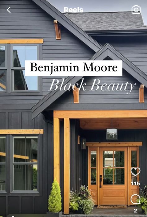 Black House Siding, Houses Painted Black, Moody Exterior House Colors, Black Exterior House, Dark Exterior Homes, Dark Exterior House Colors, Black Exterior Paint, Black Home Exterior, Exterior Paneling