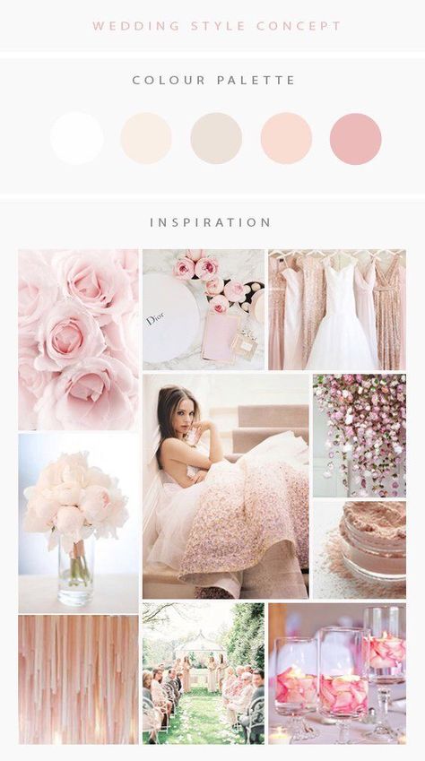 Delicate Pink Wedding, Ballet Pink Wedding Color Palettes, Blush Pink Color Palette Wedding, Blush Pink Wedding Palette, Light Pink Color Palette Wedding, Blush Pink Wedding Aesthetic, Pastel Pink Wedding Theme Colour Palettes, Elegant Color Palette Colour Schemes, Champagne Pink Wedding Theme