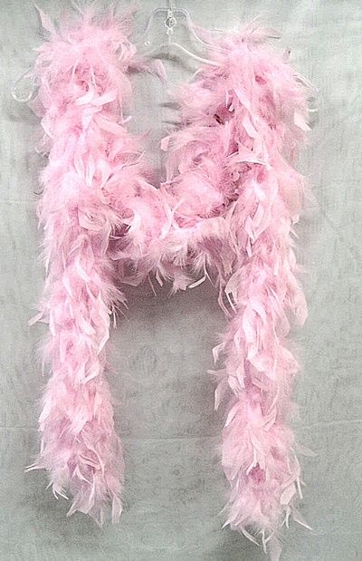 pink feather boa All attending attire Feather Boas Aesthetic, Boas Aesthetic, Feather Boa Aesthetic, Feather Boa Outfit, Pink Boas, Club Libby Lu, Pink Feather Boa, White Feather Boa, Pink Boa