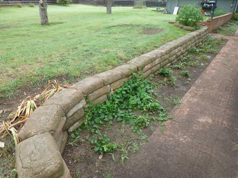 Concrete bags for a retaining wall, saw an article in This Old House Magazine.  (Directions said; place bags, wet for 5 days straight and when cured, peal off the paper, solid wall.)  Will be doing around the huge oak tree at edge of back yard, then plant lots of Giant Elephant Ears... Concrete Bag Retaining Wall, Garden Hardscape, Canyon House, Concrete Bags, Wall Concrete, Wet Basement, Bag Wall, Concrete Retaining Walls, Concrete Patios