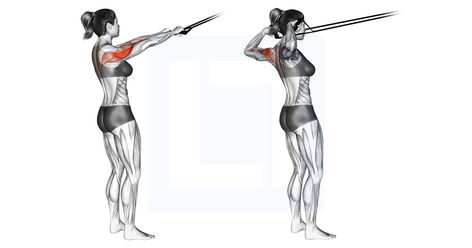 Resistance Band Workouts, Shoulder Workouts, Face Pulls, Band Workouts, Tricep Extension, Lateral Raises, Shoulder Injuries, Overhead Press, Rotator Cuff