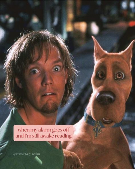 Scooby Doo x Bookish Memes 🐕 Every October I rewatch this movie at least once, usually on Halloween night while waiting for trick-o-treaters! 👻 I don’t know anyone else who does this with this specific movie though, but I just love it - one of my comfort movies somehow 😆 💭 Do you have a movie you like to rewatch during spooky season? #bookmemes #bookishmemes #scoobydoo #spookyisland #memes #memesdaily #maasverse #throneofglass #thekindredscursesaga #bookstagram #b #booksta #bookstagrammer... Masked Villain, Freddie Prince Junior, Mystery Inc, Scooby Doo Pictures, Lord Farquaad, Scooby Doo Movie, Maze Runner Movie, Live Action Movie, Friends Show