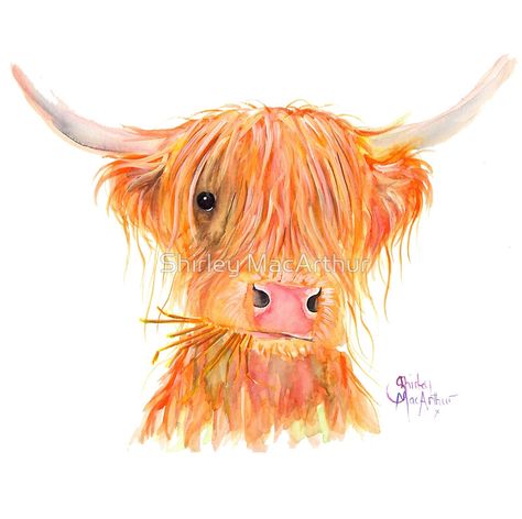 SCOTTISH HIGHLAND COW 'FERGUS' By Shirley MacArthur by Shirley MacArthur Painting Kids Room, Cow Prints, Highland Cow Painting, Highland Cow Art, Scottish Highland Cow, Highland Cow Print, Images Kawaii, Cow Gifts, Cow Painting