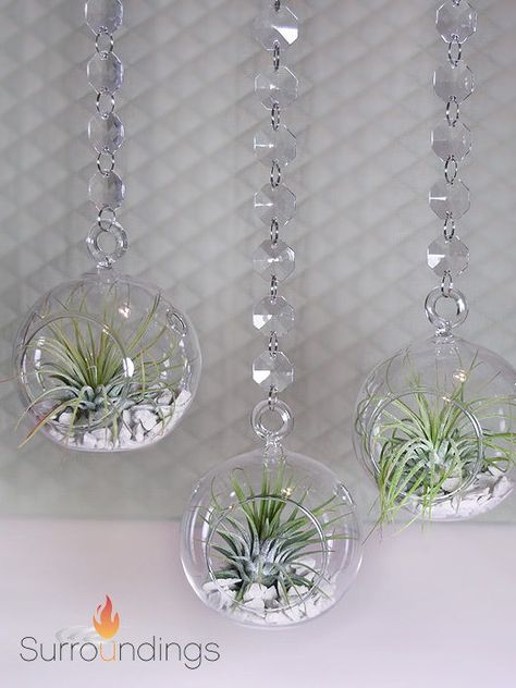 Decorate with air plants in hanging bubble vases for a light airy display. This set includes one hanging bubble vase set. See it at Surroundings.com #bubblevaseset #airplantinbubblevase Air Plant Centerpiece Table Settings, Globes Decor, Air Plant Table Centerpiece, Hanging Spheres Wedding, Centerpieces Floating Candles, Natural Centerpieces, Candle Centerpieces Wedding, Hanging Glass Globes Plants, Bubble Vases