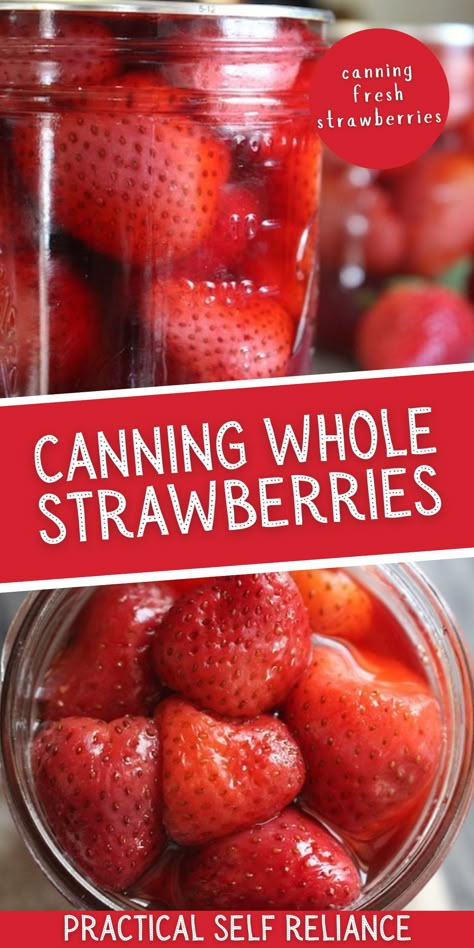 Can Strawberries, Canning Strawberries, Canning Fruit Recipes, Canning Water, Canned Strawberries, Pressure Canning Recipes, Canning Fruit, Home Canning Recipes, Canning Vegetables