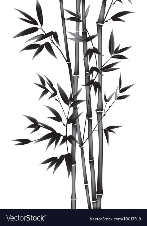 Black Bamboo Plant, Paint Bamboo, Bamboo Trees, Bamboo Tattoo, Painted Bamboo, Bamboo Art, Black Bamboo, Bamboo Plants, Japanese Painting