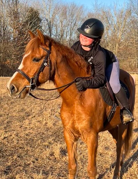 Chestnut Pony, Mango Ideas, Chestnut Horses, Class Of 2026, Owning A Horse, Jumping Horses, Riding Stables, Show Jumping Horses, Welsh Pony