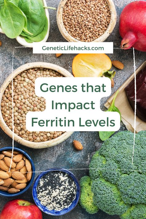 Ferritin is the storage protein for iron in the body. Storing too little or too much iron can be an indicator of an underlying problem. Discover the genetic variants that impact ferritin and how to increase ferritin with supplements or foods. Elevated Ferritin Levels, How To Lower Ferritin Levels, Low Ferritin Levels, Increase Ferritin Levels, High Ferritin Symptoms, Ferritin Levels High, Ferritin Rich Foods, High Ferritin Levels, Low Ferritin Symptoms