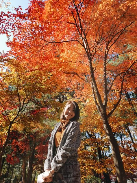 Nami Island Photo Ideas, Nami Island Autumn Outfit, Nami Island Outfit, Baguio Photoshoot, Nami Island Autumn, Nami Island Korea, Autumn Leaves Japan, Kyoto Autumn, Outfits Japan