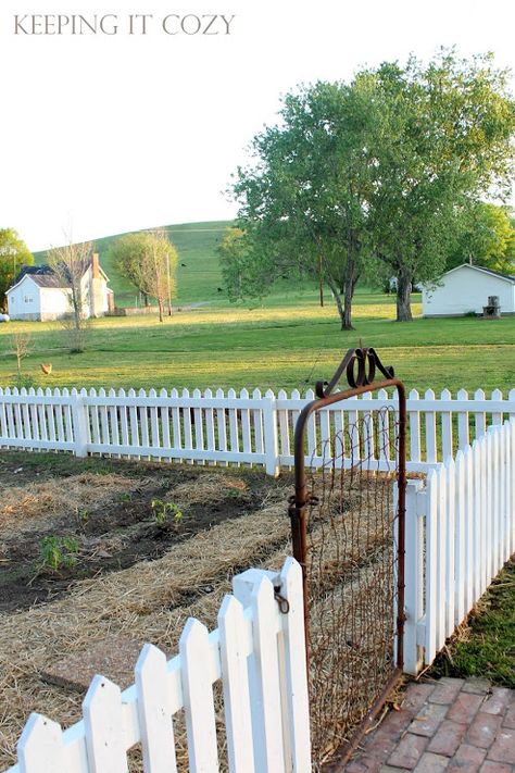 Keeping It Cozy: The Garden Fence Pool Planters, Diy Dog Gate, Diy Garden Fence, Garden Wedding Reception, White Picket Fence, Backyard Fences, Newcastle Upon Tyne, Picket Fence, Garden Fencing