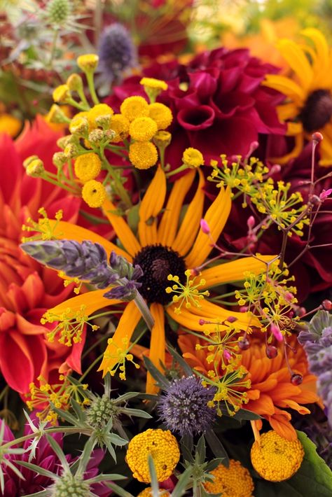 Fall Flowers Garden, Fall Scenes, October Flowers, Gorgeous Wedding Bouquet, Fabulous Fall, Autumn Beauty, Autumn Garden, Autumn Trees, Fall Flowers