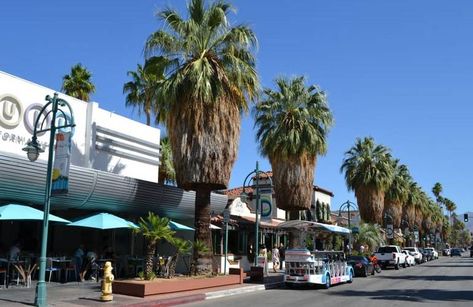 Palm Canyon Drive Downtown Palm Springs Palm Springs Downtown, Downtown Palm Springs, Spring Movie, Palm Canyon, Palm Springs Mini Backpack, Salvation Mountain, Desert Road, Palm Spring, Palm Springs California