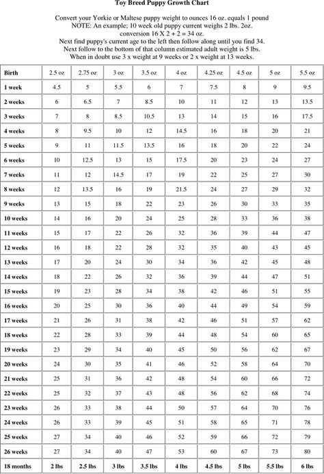 Toy Breed Puppy Growth Chart Puppy Growth Chart, Free Puppies, Free Toys, Chart Template, Growth Chart, Free Resume, Sample Resume, Yorkie, Template Printable