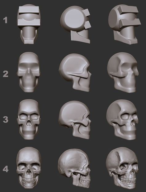 Human Skull Drawing, Zbrush Anatomy, 3d Anatomy, Zbrush Models, 3d Karakter, Skull Reference, Skull Model, Zbrush Character, Sculpting Tutorials