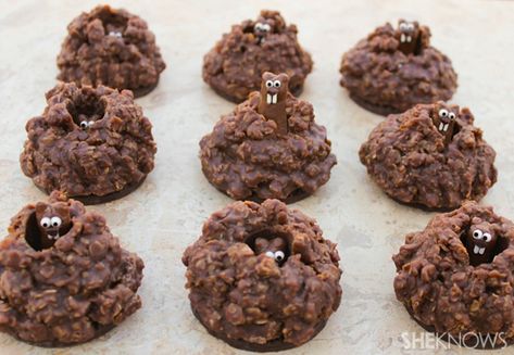 This Groundhog Day recipe is so cute you won't care if there are six more weeks of winter ahead Groundhog Cookies, Mole Day, Fudge Stripe Cookies, Ground Hog, Chocolate Candy Melts, Edible Food, Spring Ideas, Groundhog Day, 4 Seasons