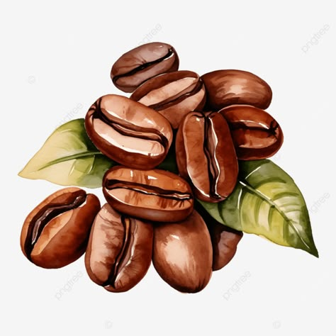 coffee beans watercolor ai generated coffee beans coffee beans watercolor coffee png Coffee Bean Painting, Coffe Drawings Cute, Coffee Journal Ideas, Coffee Illustration Graphics, Coffee Beans Drawing, Coffee Bean Drawing, Coffee Bean Illustration, Coffee Beans Illustration, Coffee Beans Art