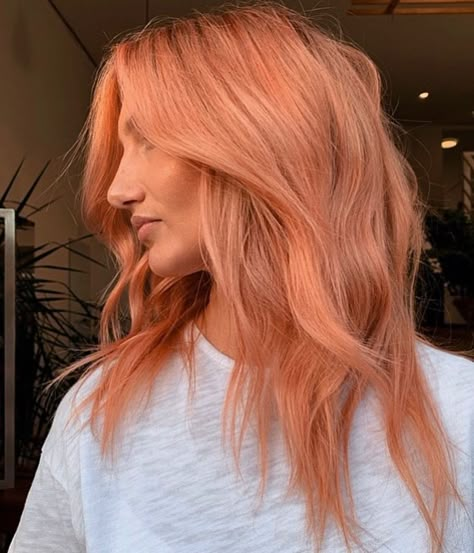 Ginger Peach Hair, Blond Color Hair, Peachy Hair Color, Peach Hair Dye, Peachy Pink Hair, Apricot Hair, Blond Color, Copper Blonde Hair, Home Highlights