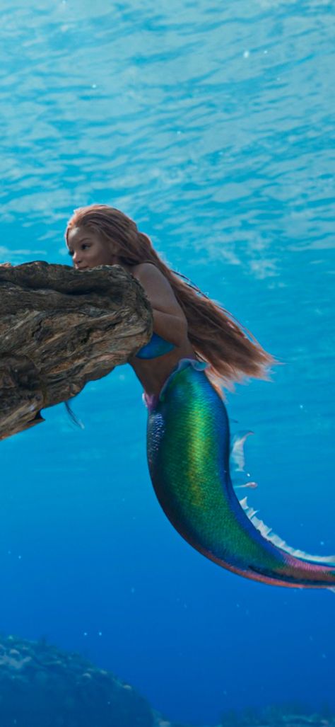 Ariel In Real Life, The Little Mermaid Wallpaper, Ariel Live Action, Hailey Bailey, The Little Mermaid Live Action, Halle Bailey Little Mermaid, The Little Mermaid 2023, Ariel Wallpaper, Little Mermaid Wallpaper