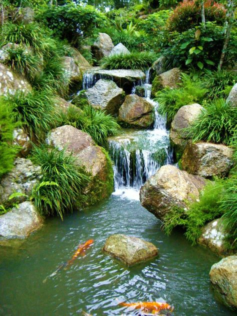 High-End Design Of Garden Waterfall Koi Pond Design, 숲 사진, Kolam Koi, Taman Air, Garden Pond Design, Garden Waterfall, Pond Waterfall, Pond Water Features, Pond Landscaping