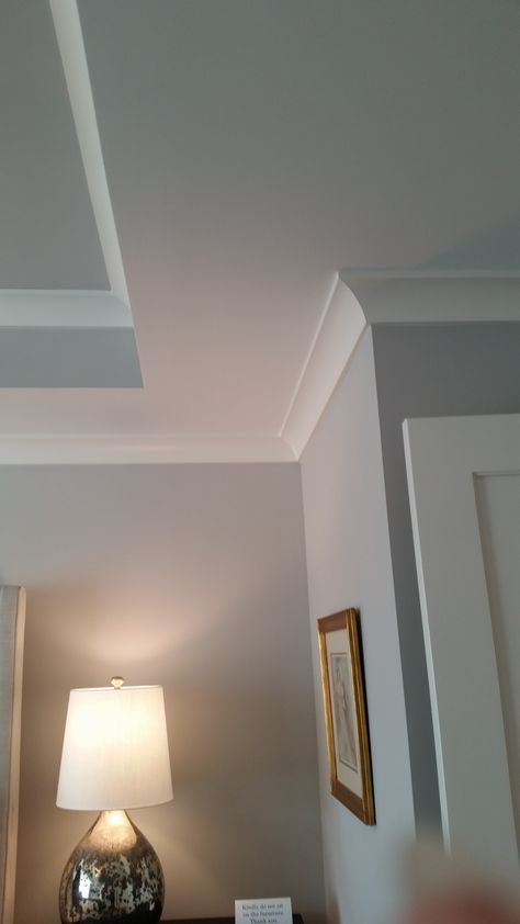 Simple crown molding used on top of wall and on ceiling Moldings Ceiling, Trim On The Ceiling, Crown Molding And Baseboard Ideas, Updated Crown Molding, Bedroom Ceiling Molding, Crown Molding For 8 Foot Ceilings, Crown Molding Small Living Room, Ceiling Moldings And Trim, Trim Ceiling Ideas