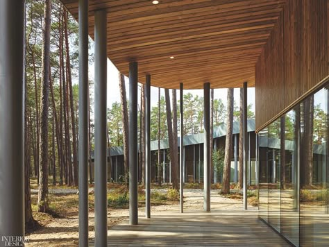 Echoing the shape and color of the surrounding pine trees, the breezeway off the café terrace combines steel columns capped by a Siberian birch overhang. Auditorium Seating, Wabi Sabi Interior, Cafe Terrace, Music Center, Column Design, Steel Columns, House Construction Plan, Small Cabin, Design Magazine