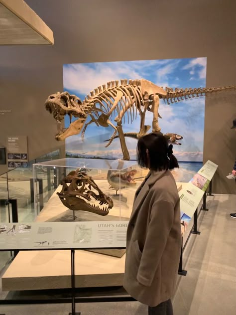 natural history museum, dark academia aesthetic, dark short hair, short bob haircut Dinosaur Bones Museum, Palentogist Aesthetic, Natural History Museum Aesthetic, Paleontologist Aesthetic, Anthropologist Aesthetic, History Museum Aesthetic, Dark Short Hair, Skeleton Photo, Fossil Museum