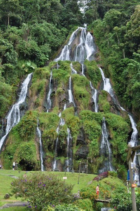 Cascada eje cafetero, Colombia - One of the most beautiful areas to visit in Colombia is the dense region that produces coffee (Eje Cafetero). Nearly 700 traditional coffee haciendas provide lodging and a glimpse of traditional life, and many offer horseback tours in lush countryside with the Andes as a dramatic backdrop. Dominican Republic Travel, Trip To Colombia, Nicaragua Travel, Colombia Travel, Costa Rica Travel, Travel Bugs, Supercars, Beautiful World, Travel Dreams