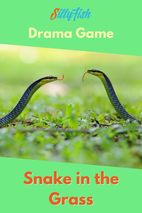 Snake Activities Preschool, Snake Songs For Preschool, Snake Activities For Kids, Snake Kindergarten Activities, Snake Games For Kids, Forest School Games Fun Activities, Snake Games, Drama Activities For Kids, Improv Games For Kids