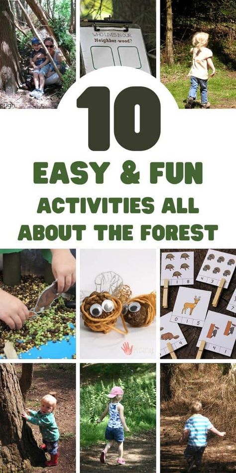 Forest And Woodland Activities, Forest Gross Motor Activities, Forest Animal Toddler Activities, Forest Theme Activities For Preschool, Preschool Forest Animals Activities, Forest Activities For Toddlers, Forest Activities For Preschool, Woodland Animals Activities, Forest Activities For Kids