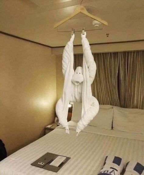 Towel Origami, Towel Animals, 웃긴 사진, Hotel Room, Funny Animal Pictures, Nature Beautiful, Funny Fails, Best Funny Pictures, Meme Pictures