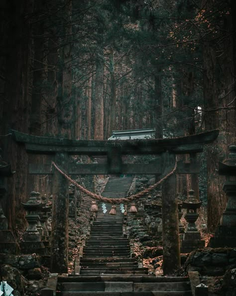 Shrine Aesthetic, Shrine Wallpaper, Old Japanese Aesthetic, Japanese Shrine Aesthetic, Japan Shrine, Japanese Shrine Anime, Forest Shrine Art, Shinto Shrine Aesthetic, Japanese Forest Shrine