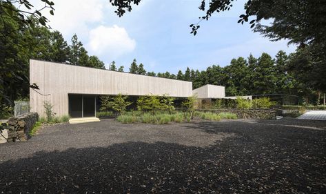 Jeju Island Wedding Studio / Todot Architects and Partners Public Architecture, Wedding Studio, Landscape And Urbanism, Chicago Architecture, Cedar Trees, Cultural Architecture, Jeju Island, Education Architecture, Architecture Office