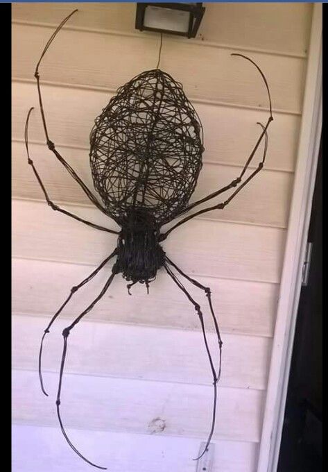 #wiresculpture #wirespider #halloween #spider Spider Sculpture, Diy Spider, Tree Wall Art Diy, Wire Spider, Popular Crafts, Tree Artwork, Adornos Halloween, Metal Tree Wall Art, Tree Wall Decor