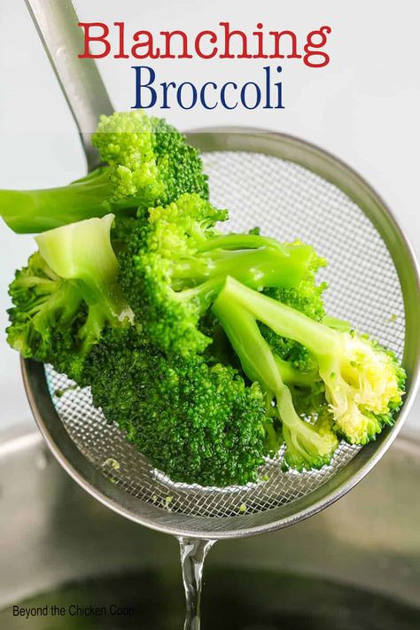 Blanching broccoli is a great way to parboil broccoli to cook broccoli to preserve the crispness and vibrant color. Use in casseroles, eat as is or freeze to use later. #broccoli #blanching #parboil Blanch Broccoli How To, Barbara Broccoli, Boiling Broccoli, Baby Broccoli Recipe, Blanching Broccoli, Blanched Broccoli, Freezing Veggies, Cook Broccoli, Yummy Vegetable Recipes