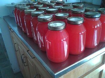 Rhubarb Juice, Mennonite Recipes, Ball Canning, Rhubarb Desserts, Foraging Recipes, Canned Food Storage, Cranberry Sauce Homemade, Rhubarb Recipes, Amish Recipes