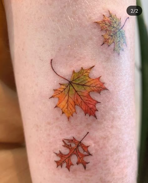 Shy Tattoo, Fall Leaf Tattoo, Kiki Tattoo, Maple Leaf Tattoos, Traditional Tattoos Japanese, Maple Tree Tattoos, Small Tattoos Sleeve, Awareness Tattoos, Fall Leaves Tattoo