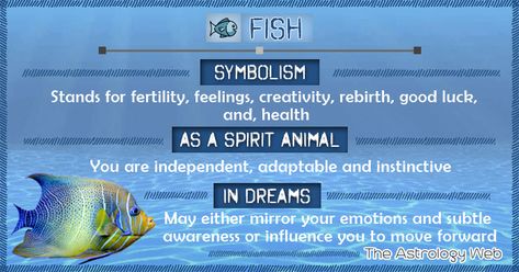 Fish symbolism, fish as spirit animal, dreaming about fish meaning, dream interpretation of eating a fish, fish tank, catching fish, fish as a Christian symbol Fish Dream Meaning, Meditation Signs, Fish Symbolism, Charm Reading, Dream Symbolism, Animal Symbols, Spirit Animal Meaning, Animal Meanings, Animal Tarot