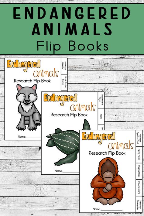 Learn about fifteen different Endangered animals with these three Endangered Animals Flip Books. Endangered Animals Preschool, Endangered Animals Activities, Endangered Animals Lessons, Endangered Animals Project, Endangered Species Activities, Endangered Species Project, Animal Fact File, Endangered Species Art, Animal Activities For Kids