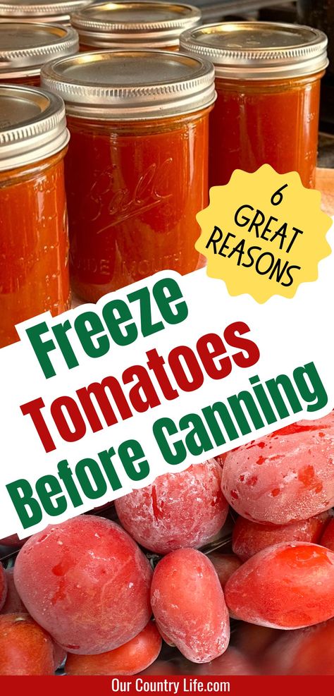 6 Great Reasons to Freeze Your Tomatoes Before Canning – Our Country Life Best Tomato Sauce Recipe, Frozen Tomatoes, Freezing Tomatoes, Freezing Vegetables, Easy Canning, Canning Whole Tomatoes, Fresh Tomato Recipes, Canning Tips, Fresh Tomato Sauce