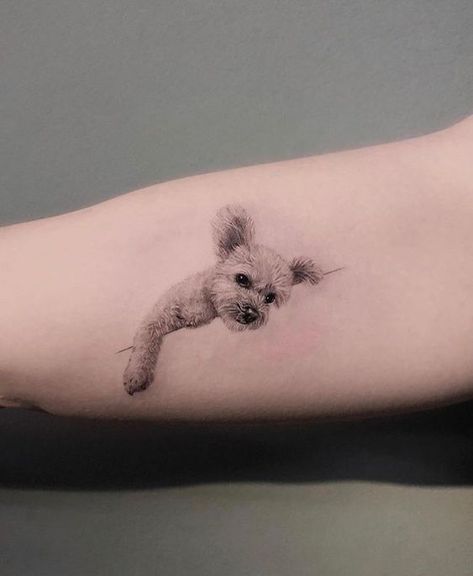 Dog Paw Tattoo Realistic, Doggy Tattoos Small Ideas, Welsh Terrier Tattoo, Tatoos Dogs Ideas, Dog Commemorative Tattoo, Dog Cute Tattoo, Dog Idea Tattoos, Paw And Nose Print Tattoo, Personalized Dog Tattoo