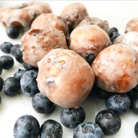 Blueberry Doughnuts – e2 bakes brooklyn Baked Donut Holes, Blueberry Doughnuts, Blueberry Cake Donuts, Donut Hole Recipe, Doughnut Recipes, Cake Doughnuts, Cake Donuts Recipe, Baked Donut, Blueberry Donuts