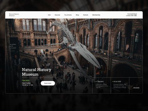 Museum Web Design, Science Web, Logo Design Women, History Website, Travel Website Design, In Memorium, App Design Layout, Corporate Website, History Education