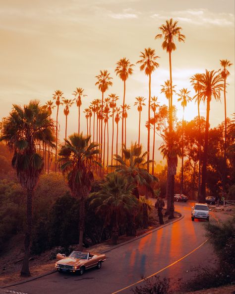 Elysian Park Los Angeles, Los Angeles Landmarks, Alan Aesthetic, Elysian Park, Highland Park Los Angeles, Porter Ranch, Los Angeles Parks, Buena Park, Griffith Park