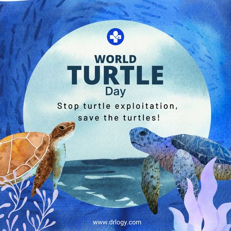 Turtle Turtle With World On Back, Sea Turtle Wisdom, Turtle Infographic, Earth Day Drawing, World Turtle Day, Turtle Day, Turtle Carrying The World, Holiday Day, National Holidays