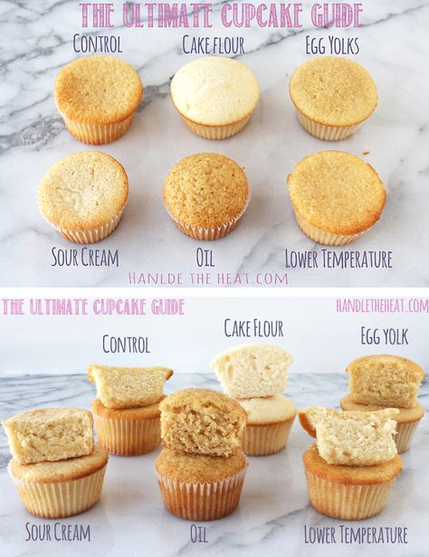 The Ultimate Cupcake Guide: what makes cupcakes light, greasy, fluffy, dense, crumbly, or moist! Ultimate Cupcake Recipe, Cookie Shop, Bread Puddings, Cupcakes Ideas, Baking 101, Beautiful Cupcakes, Donut Shop, Baking Ideas, Cake Decor