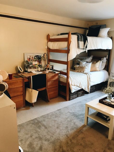 Bunk Beds Dorm Room, Dorm Room Designs Bunk Bed, Bunked Bed Dorm Room Ideas, Bottom Bunk Dorm Ideas, College Dorm Bunk Beds, Bunk Bed Dorm Room Ideas College, Dorm Bunk Bed Ideas, Dorm Room Ideas Bunkbeds, Dorm Room Ideas Bunk Beds