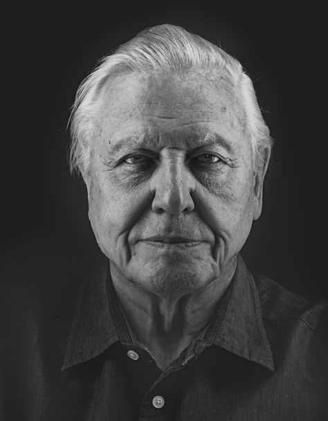 David Attenborough  Photo by Nadav Kander Nadav Kander, Art Chicano, Famous Portraits, Tracey Emin, Photography Men, Portrait Photography Men, Teen Celebrities, David Attenborough, Florence Welch