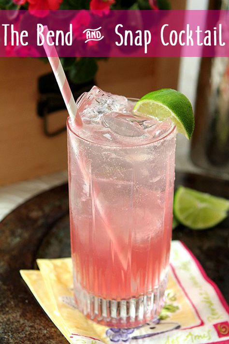 A Perfectly Pink Cocktail for Legally Blonde Lovers! Inspired by the 15th anniversary of Legally Blonde, making this is as easy as the Bend and Snap, its namesake! This is a cocktail Elle Woods herself would be proud to drink. Legally Blonde Movie, Cocktail Cart, Pom Juice, Mixology 101, Adult Prom, Ginger Beer Recipe, Ginger Beer Cocktail, Colorado Food, Raspberry Mojito