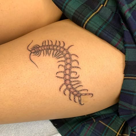 Halle ☆ (@paperrcutt) posted on Instagram: “Super fun centipede for the amazing Frida ⭐️” • Apr 3, 2021 at 10:54pm UTC Centipede Stick And Poke, Simple Centipede Tattoo, Centipede Knee Tattoo, Small Centipede Tattoo, Centipede Tattoo Design, Centipede Drawing, Centipede Tattoo, Becoming A Tattoo Artist, Insect Tattoo