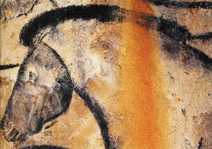 Lascaux Cave Paintings, Chauvet Cave, Prehistoric Cave Paintings, Paleolithic Art, Cave Drawings, Cave Art, Prehistoric Art, Cave Paintings, Art Sites